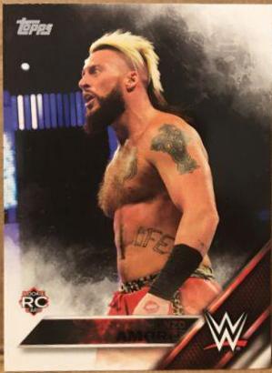 Enzo Amore #118