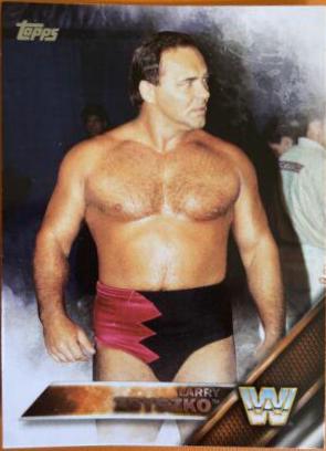 Larry Zbyszko #179
