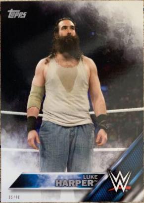 Luke Harper #131