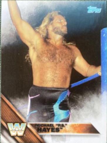 Michael PS Hayes #182