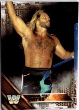 Michael PS Hayes [Bronze] #182