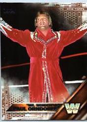 Mr. Wonderful Paul Orndorff [Bronze] #185