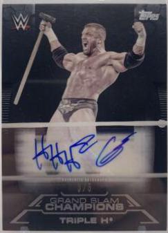 Triple H #GA-TH