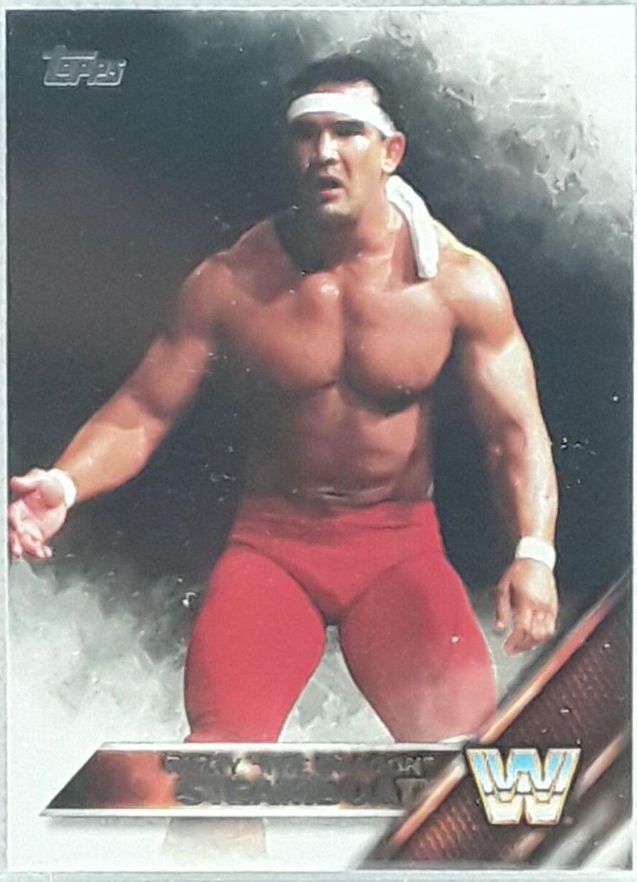 Ricky The Dragon Steamboat #191
