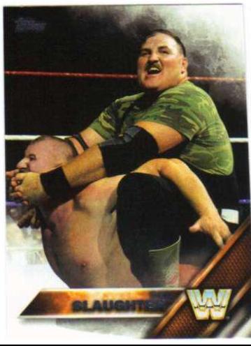 Sgt. Slaughter #193