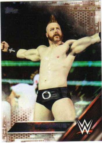 Sheamus [Bronze] #144