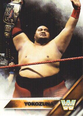 Yokozuna #200