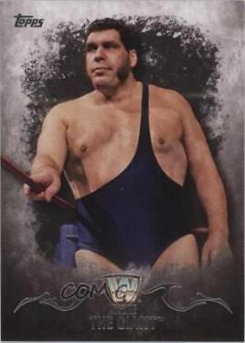 Andre The Giant #42