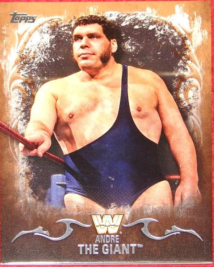 Andre The Giant [Bronze] #42