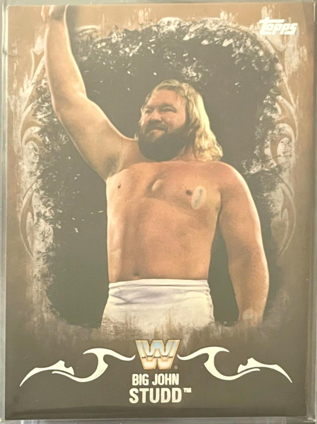 Big John Studd [Bronze] #46