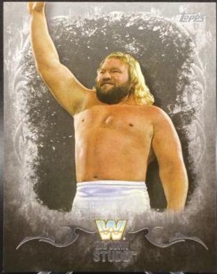 Big John Studd [Silver] #46