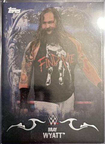 Bray Wyatt [Blue] #5