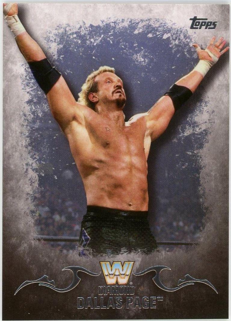 Diamond Dallas Page #53