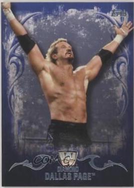 Diamond Dallas Page [Blue] #53