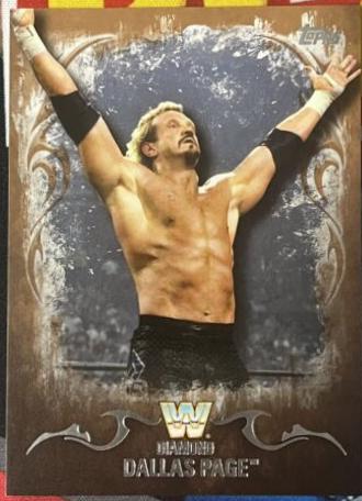 Diamond Dallas Page [Bronze] #53