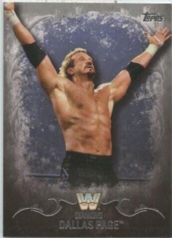 Diamond Dallas Page [Silver] #53