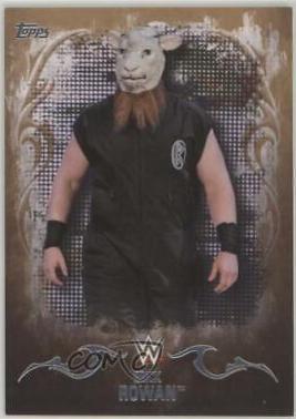 Erick Rowan [Bronze] #13