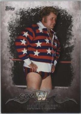 Harley Race #68