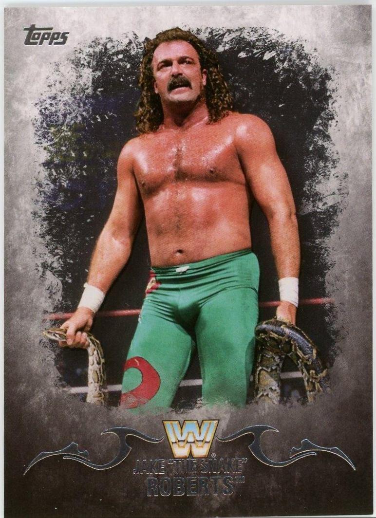 Jake The Snake Roberts #62