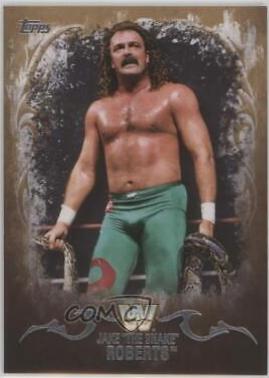 Jake The Snake Roberts [Bronze] #62