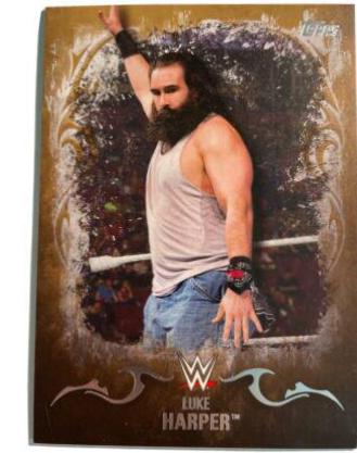Luke Harper #21