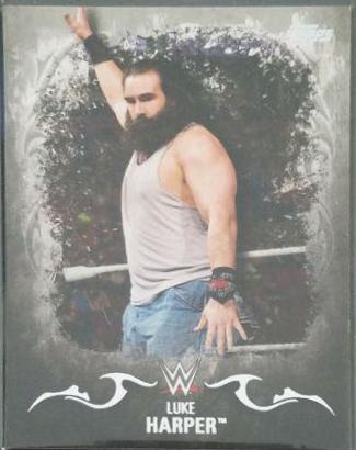 Luke Harper [Silver] #21