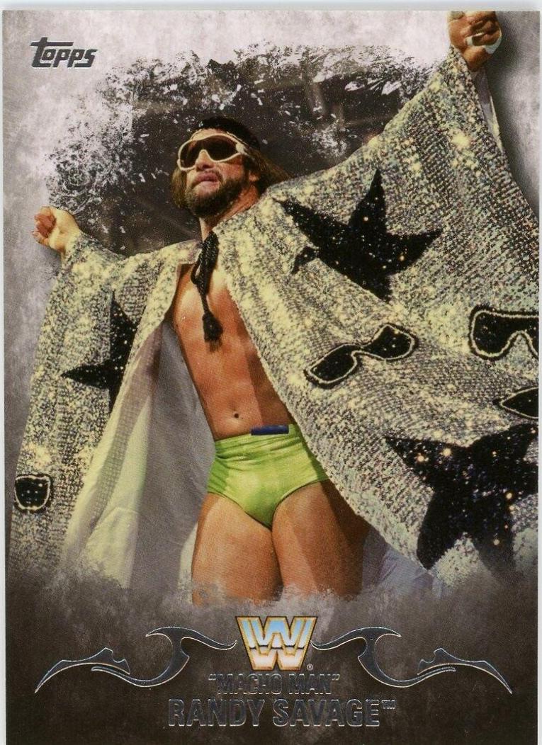 Macho Man Randy Savage #71