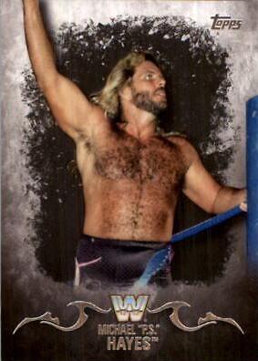 Michael PS Hayes #73