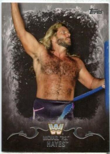 Michael PS Hayes [Silver] #73