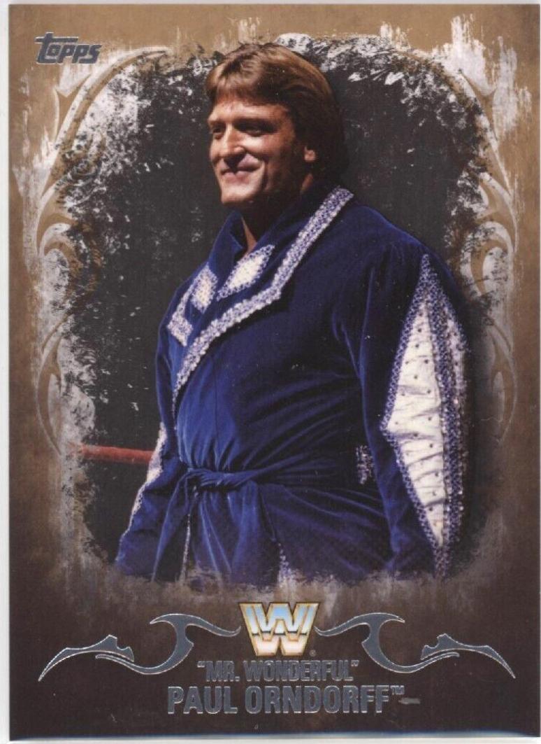 Paul Mr. Wonderful Orndorff [Bronze] #77