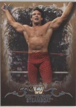 Ricky The Dragon Steamboat #82
