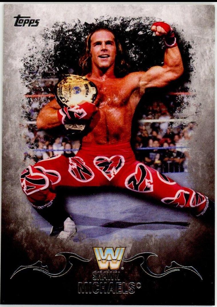 Shawn Michaels #90