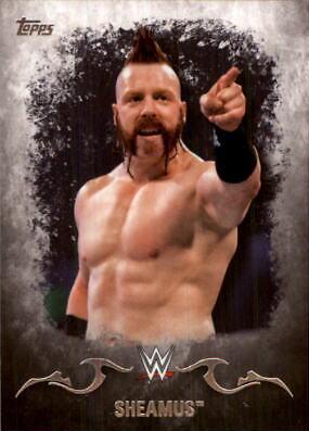 Sheamus #33