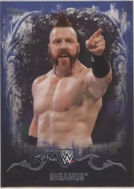 Sheamus [Blue] #33