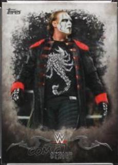Sting #34