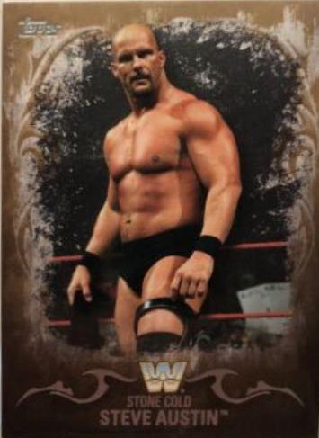Stone Cold Steve Austin [Bronze] #92