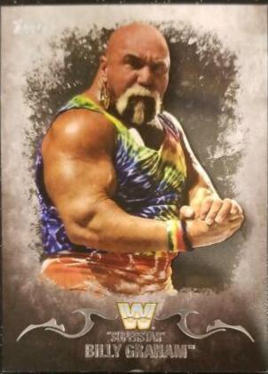 Superstar Billy Graham #91