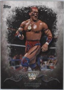 Tatanka #93