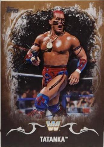 Tatanka [Bronze] #93