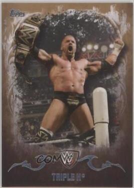 Triple H [Bronze] #35