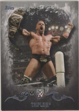 Triple H [Silver] #35
