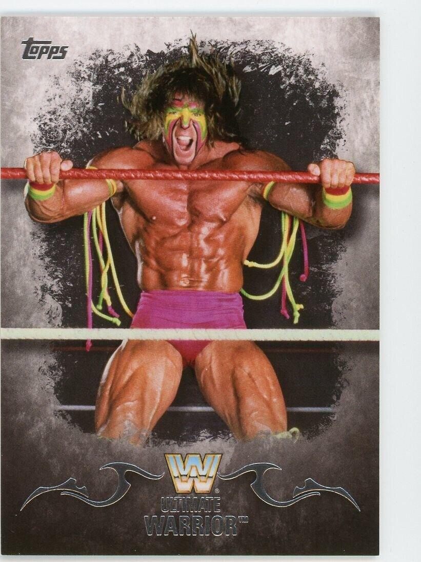 Ultimate Warrior #96