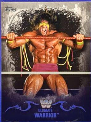 Ultimate Warrior [Silver] #96