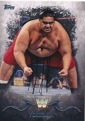 Yokozuna #100