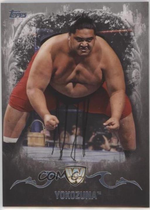 Yokozuna [Silver] #100