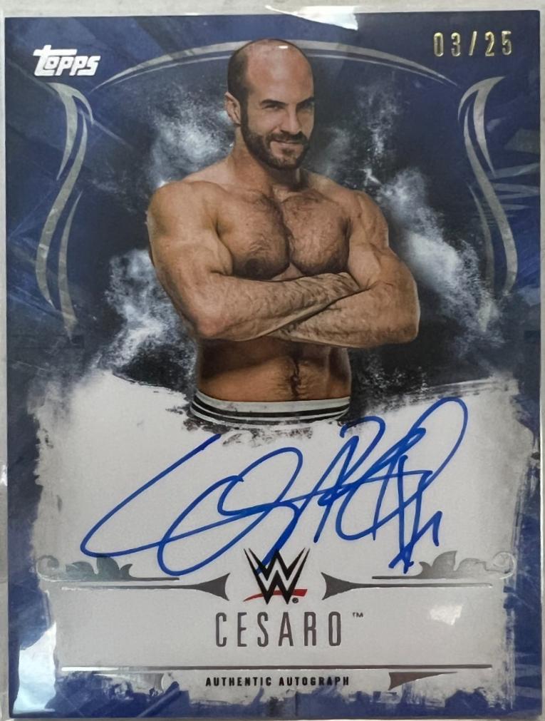Cesaro [Blue] #UA-CE