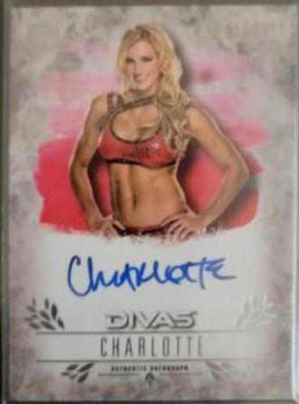 Charlotte #UA-CH