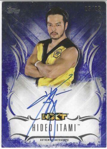 Hideo Itami [Blue] #UA-HI