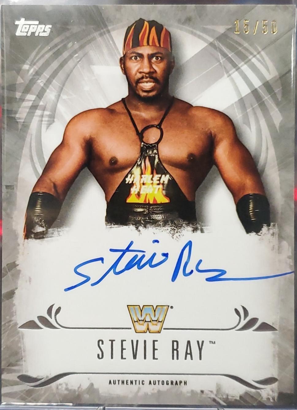 Stevie Ray [Silver] #UA-STR