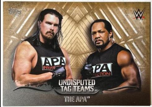 The APA [Bronze] #UTT-2